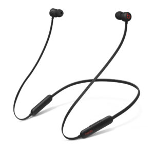 Earphones